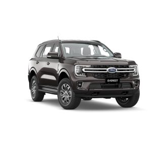 xe ford everest ambiente màu nâu