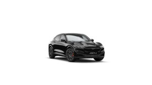 ford-mustang-mau-den