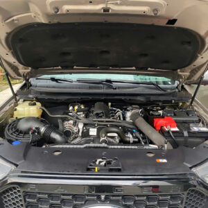 Ranger 2022 | Vàng| 4v - Xe Ford Dĩ An b2f9a183178a9ad4c39b113 - Xe Ford Dĩ An